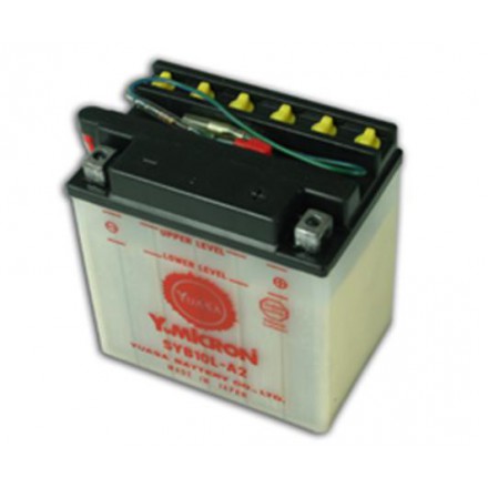 Batterie YUASA SYB10L-A2