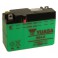 Batterie YUASA 6N12A-2C/B54-6 LxlxH : 156x57x116 [ + - ] - 6V/12.6Ah 