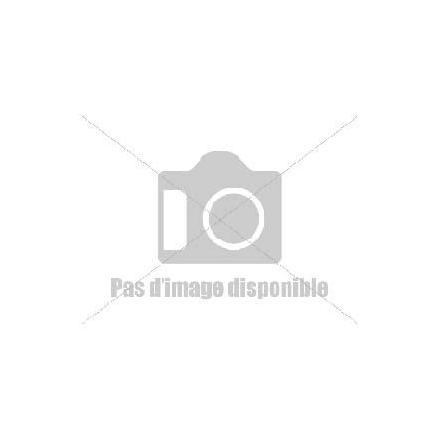 3014.E8571.13 PSB HONDA CRF.250 '18/19 13 520 xxx Info 