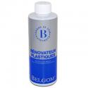 BELGOM RENOVATEUR PLASTIQUES (500ml)