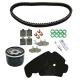 155703 KIT ENTRETIEN MAXISCOOTER ORIGINE PIAGGIO 400 MP3 LT 2007> (AVEC GUIDES VARIATEUR) -1R000379- xxx Info PIAGGIO 