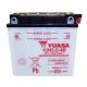 150079 BATTERIE 12V 5,5 Ah 12N5.5-4B YUASA CONVENTIONNELLE AVEC ENTRETIEN (Lg138xL61xH131) YUASA BATTERIES