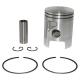 2278 PISTON 50 A BOITE AIRSAL POUR MINARELLI 50 AM6-MBK 50 X-POWER, X-LIMIT-YAMAHA 50 TZR, DTR-PEUGEOT 50 XPS-RIEJU 50 RS1-BETA 