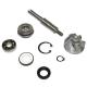 27771 KIT REPARATION POMPE A EAU MAXISCOOTER ADAPTABLE HONDA 125 SH, 125 PANTHEON, 125 DYLAN (KIT) -BUZZETTI- xxx Info BUZZETT