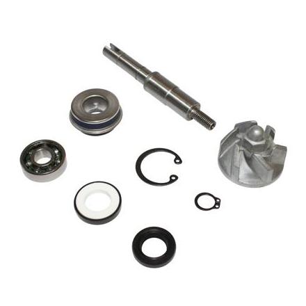 27771 KIT REPARATION POMPE A EAU MAXISCOOTER ADAPTABLE HONDA 125 SH, 125 PANTHEON, 125 DYLAN (KIT) -BUZZETTI- xxx Info BUZZETT