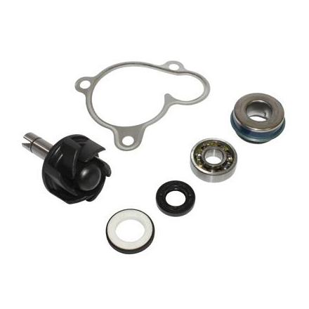 27776 KIT REPARATION POMPE A EAU MAXISCOOTER ADAPTABLE YAMAHA 250 MAJESTY, XMAX-MBK 250 SKYLINER, SKYCRUISER (KIT) -BUZZETTI- x