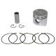 28703 PISTON CYCLO ADAPTABLE HONDA DAX 50 SKYTEAM (DIAM 39mm) -P2R- xxx Info P2R (Motorisé) 