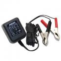 CHARGEUR DE BATTERIE 12V 0,5 Ah -P2R-