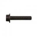 VIS DE COURONNE 50 A BOITE ADAPTABLE RIEJU 50 RR, MRX (M8 x 40 mm) -SELECTION P2R-