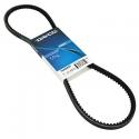 COURROIE CYCLO ADAPTABLE PIAGGIO 50 CIAO PX SANS VARIATEUR (955x9,5) -DAYCO-