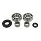 160257 ROULEMENT BOITE DE VITESSES + CAGE AIGUILLES 50 A BOITE SKF POUR DERBI 50 SENDA (2x6203 C4 + 2 x HK1412 + 2 SPI 12x20x5 -