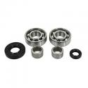 ROULEMENT BOITE DE VITESSES + CAGE AIGUILLES 50 A BOITE SKF POUR DERBI 50 SENDA (2x6203 C4 + 2 x HK1412 + 2 SPI 12x20x5 - 17x35x