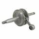 162539 EMBIELLAGE-VILEBREQUIN CYCLO ADAPTABLE POUR PEUGEOT 103 VOGUE ELECTRONIQUE (SANS VARIATEUR) 2 Général | Fp-moto.com