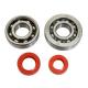 167677 ROULEMENT D'EMBIELLAGE + JOINT SCOOT P2R ADAPTABLE PEUGEOT 50 SPEEDFIGHT 2, TKR, TREKKER (AVEC POMPE DELLORTO) (KIT SKF S