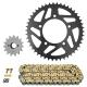 167859 KIT CHAINE ADAPTABLE DUCATI 797 MONSTER 2017-2019 520 15x46 (DIAM COURONNE 100-124-10.5) (DEMULTIPLICATION ORIGINE) 