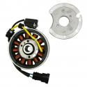 ALLUMAGE COMPLET ORIGINE PIAGGIO GILERA SMT 50 2018--APRILIA 50 SX, RX 2018- (ROTOR + STATOR) -1A008984-