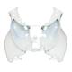 136037 FACE AVANT ORIGINE PIAGGIO 300-500 MP3 BUSINESS 2010- BLANC 566 -65370400BT- 2 Général | Fp-moto.com garage moto alb