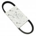 COURROIE ORIGINE PIAGGIO SCOOTER 50 VESPA PK50A FL2 (V5P2T) 1982-1993 -286752-