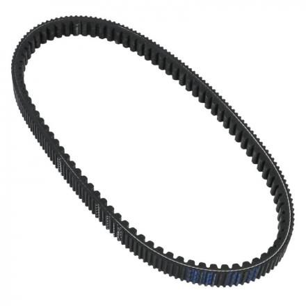 176817 COURROIE MAXISCOOTER POLINI POUR HONDA 125 PCX 2018- (ORIGINAL) (248.131) 2 Général | Fp-moto.com garage moto albi at