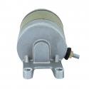 DEMARREUR MAXISCOOTER ADAPTABLE APRILIA 300 SR IE MAX 2011-2015, 250 SCARABEO IE, LIGHT E3 2004-2010, 300ATLANTIC 2010-2013 - PE