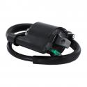 BOBINE ALLUMAGE MAXISCOOTER ADAPTABLE HONDA 110 LEAD 4T 2008-2013, 125-150 SH 2009-2012, 300 SH, 250 FORZA 2008-2012 - YAMAHA 12