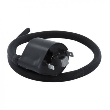 168078 BOBINE ALLUMAGE MAXISCOOTER ADAPTABLE HONDA 250 FORZA 2008-2012 - SUZUKI 1000 V STROM 2002-2012 - YAMAHA 1700 MT01 2005-2