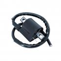 BOBINE ALLUMAGE ADAPTABLE RIEJU 50 MRT, RS2, RS3-SHERCO 50 SE, SM-R, SE-R-GENRERIC 50 TRIGGER SM-MBK 50 BOOSTER, NITRO, STUNT, X