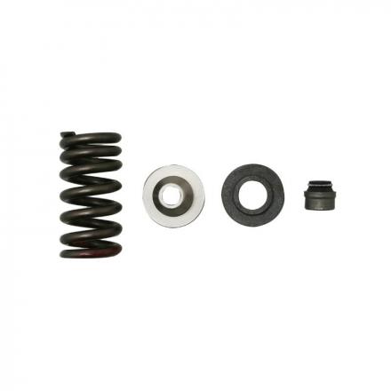 38255 KIT RESSORTS SOUPAPES ECHAPPEMENT ORIGINE PIAGGIO APRILIA 1000 RSV-4 2010- -2R000038- 2 Général | Fp-moto.com garage 
