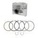 146261 PISTON (CAT-D) ORIGINE PIAGGIO 125 MP3 2007-, BEVERLY 2005-, X8 2004-, X9 2003-, X10 2012-, X-EVO 2007-, VESPA GTS 2007--