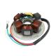 166594 STATOR ALLUMAGE MAXISCOOTER ADAPTABLE PIAGGIO 125 VESPA PX -TOP PERFORMANCES- 2 Général TOP PERFORMANCES | Fp-moto.co