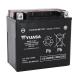 175122 BATTERIE 12V 12 Ah YTX14L-BS YUASA MF SANS ENTRETIEN HAUTE PERFORMANCE AVEC PACK ACIDE (Lg150xL87xH147mm) 2 Général 