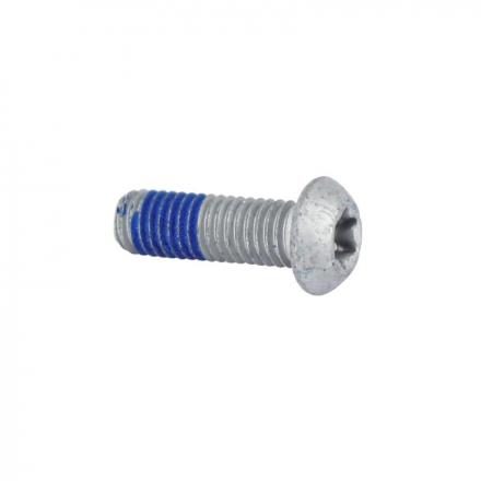 166548 VIS A TETE BOMBEE TORX -1C004053- p2r catégorie | Fp-moto.com garage moto albi atelier reparation