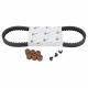 205566 KIT TRANSMISSION (COURROIE, GALETS, GUIDES) ORIGINE PIAGGIO 50 SPRINT 4T 25KMH E2 2014+2017 -1R000579- p2r catégorie PIAG