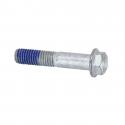 VIS BRIDE TH (10) ORIGINE PIAGGIO COMMUN A LA GAMME -268158-