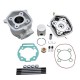 Haut Moteur 50 à Boite Malossi Mhr Sport pour Derbi 50 Senda 2006-, GPR 2006-,Gilera 50 SMT 2006-, RCR 2006- (Moteur Piaggio Eur