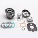 Haut Moteur 50 à Boite Athena pour Derbi 50 Senda 2006-, GPR 2006-,Gilera 50 SMT 2006-, RCR 2006- (Moteur Piaggio Euro 3) (Alu N