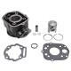 Cylindre 50 à Boite adaptable Derbi 50 Senda 2006-, GPR 2006-,Gilera 50 SMT 2006-, RCR 2006- (Moteur Piaggio Euro 3) - Fonte P