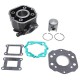 Cylindre 50 à Boite adaptable Derbi 50 Senda 1996-2005, GPR-Gilera 50 SMT 2000-2005, RCR (Moteur Derbi Euro 2) - Fonte P2R Eco