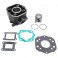 CYLINDRE 50 A BOITE ADAPTABLE DERBI 50 SENDA 1996-2005, GPR-GILERA 50 SMT 2000-2005, RCR (MOTEUR DERBI EURO 2) -P2R FONTE AVEC 