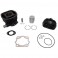 HAUT MOTEUR 50 A BOITE ADAPTABLE DERBI 50 SENDA 1996-2005, GPR-GILERA 50 SMT 2000-2005, RCR (MOTEUR DERBI EURO 2) - FONTE OLYMP