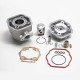 Haut Moteur 50 à Boite adaptable Derbi 50 Senda 2006-, GPR 2006-,Gilera 50 SMT 2006-, RCR 2006- (Moteur Piaggio Euro 3) -Alu Ni