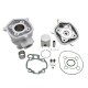 Haut Moteur 50 à Boite Malossi Mhr Sport pour Minarelli 50 AM6-MBK 50 X-Power, X-Limit-Yamaha 50 TZR, DTR-Peugeot 50 XPS-Rieju 5