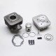 Haut Moteur Scoot Malossi Fonte pour Peugeot 50 Tkr, Trekker, Speedfight Air, Vivacity, Buxy, Squab, Zenith, Elyseo