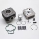 Haut Moteur Scoot Malossi Fonte pour Piaggio 50 Zip 2T, Typhoon, Liberty 2T-Gilera 50 Stalker, Ice-Aprilia 50 Sr Air