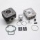 HAUT MOTEUR SCOOT MALOSSI FONTE POUR PIAGGIO 50 ZIP 2T, TYPHOON, LIBERTY 2T-GILERA 50 STALKER, ICE-APRILIA 50 SR AIR