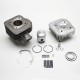 Haut Moteur Scoot Polini Fonte pour Peugeot 50 Tkr, Trekker, Speedfight Air, Vivacity, Buxy, Squab, Zenith, Elyseo