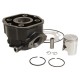 Cylindre 50 à Boite adaptable Derbi 50 Senda 1996-2005, GPR-Gilera 50 SMT 2000-2005, RCR (Moteur Derbi Euro 2) - Fonte P2R Pre