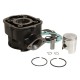 Cylindre 50 à Boite adaptable Derbi 50 Senda 2006-, GPR 2006-,Gilera 50 SMT 2006-, RCR 2006- (Moteur Piaggio Euro 3) - Fonte P