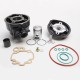 Haut Moteur 50 à Boite Top Perf Fonte pour Minarelli 50 AM6-MBK 50 X-Power, X-Limit-Yamaha 50 TZR, DTR-Peugeot 50 XPS-Rieju 50 R