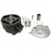 HAUT MOTEUR 50 A BOITE POLINI POUR MINARELLI 50 AM6-MBK 50 X-POWER, X-LIMIT-YAMAHA 50 TZR, DTR-PEUGEOT 50 XPS-RIEJU 50 RS1-BETA 